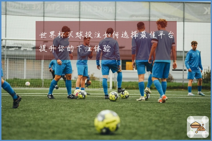世界杯买球投注如何选择最佳平台提升你的下注体验