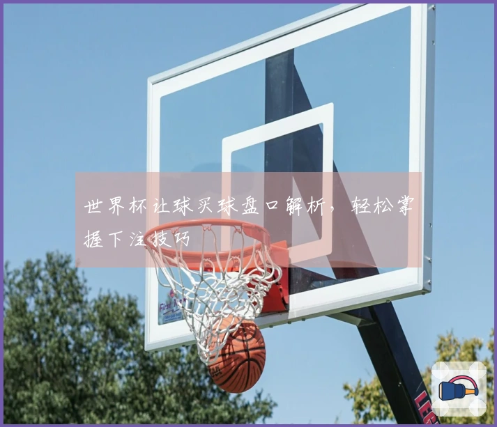 世界杯让球买球盘口解析，轻松掌握下注技巧