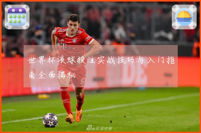 世界杯滚球投注实战技巧与入门指南全面揭秘