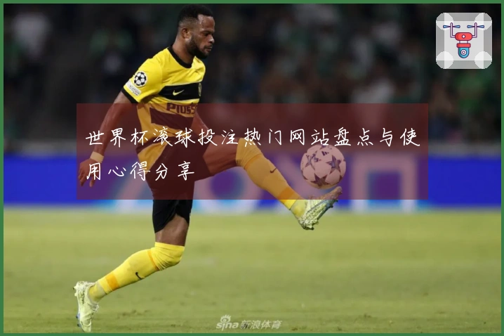 世界杯滚球投注热门网站盘点与使用心得分享