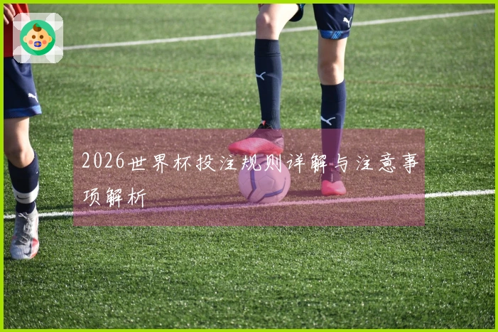 2026世界杯投注规则详解与注意事项解析