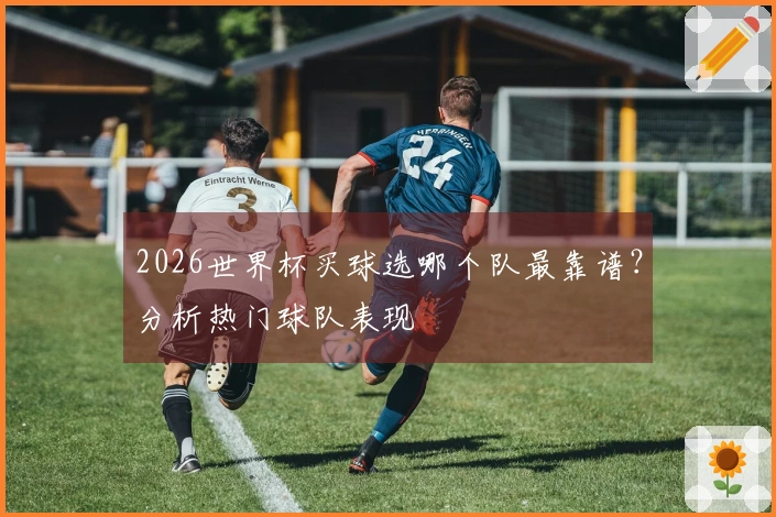 2026世界杯买球选哪个队最靠谱？分析热门球队表现